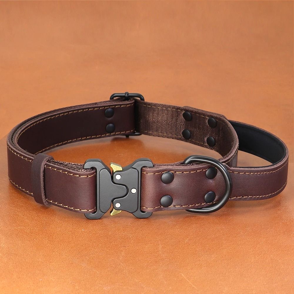 Genuine Leather Dog Collar with Handle and Safety Buckle for Medium and Large Dogs