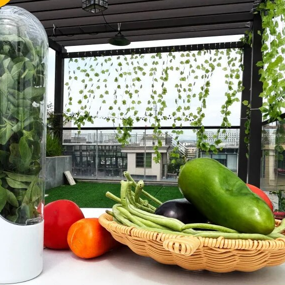 Vanilla Vegetable Fresh-keeping Box – Dust-proof, Anti-pressure, Eco-friendly Storage Solution for Produce