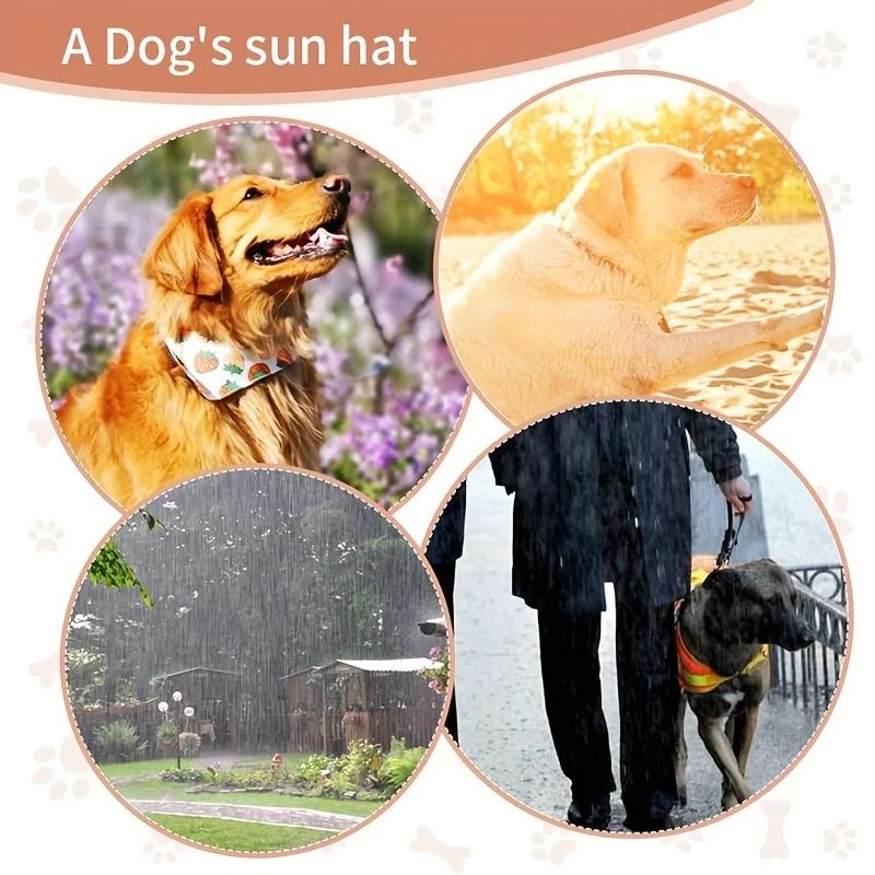 Adjustable Waterproof PVC Dog Sun Hat
