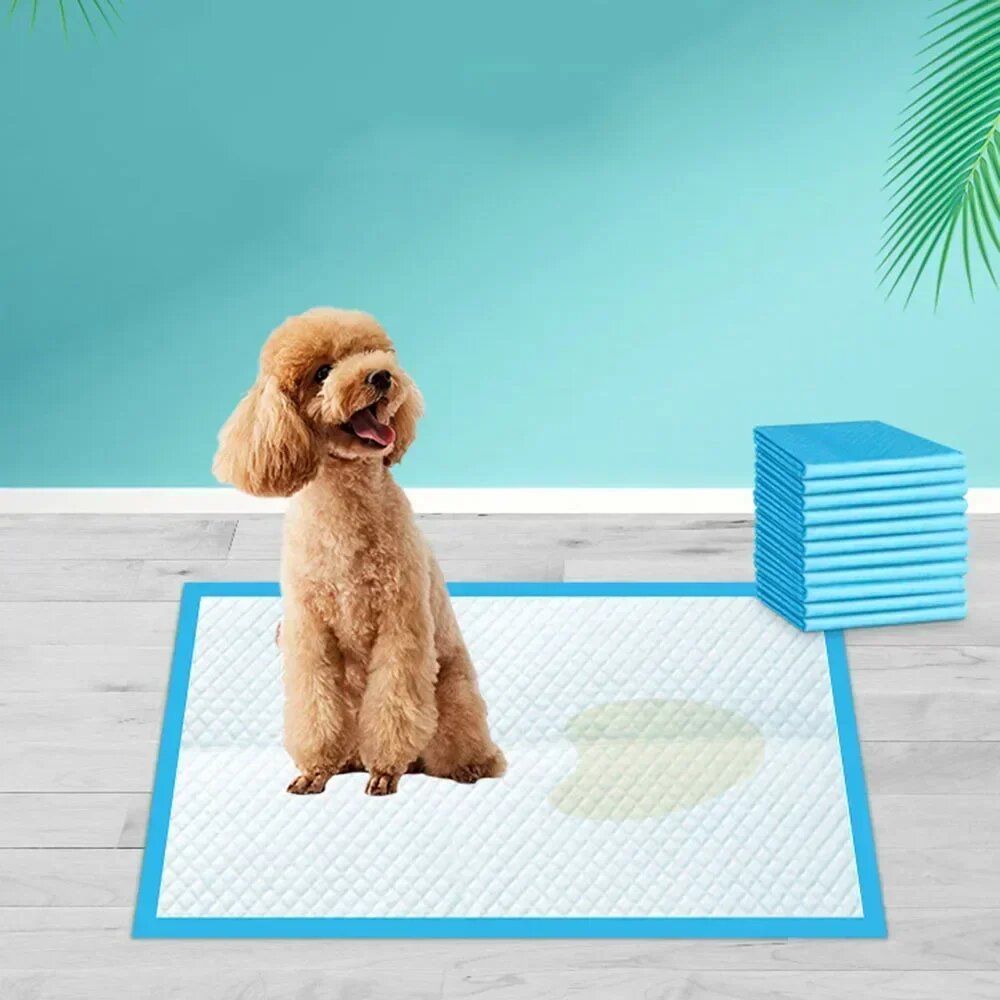Absorbent Dog Diapers & Puppy Pee Pads, Disposable Training Pads with Quick-Dry Surface for Potty Training