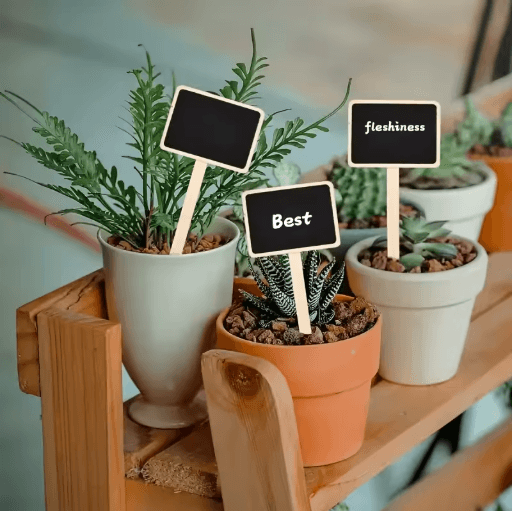 Rustic Wooden Plant Labels 10pcs and 20pcs T Shaped Blackboard Garden Signs for Plant Marking