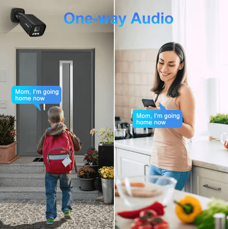 ASECAM 4K 8MP POE Security Camera – Outdoor Metal IP CCTV with AI Human Detection