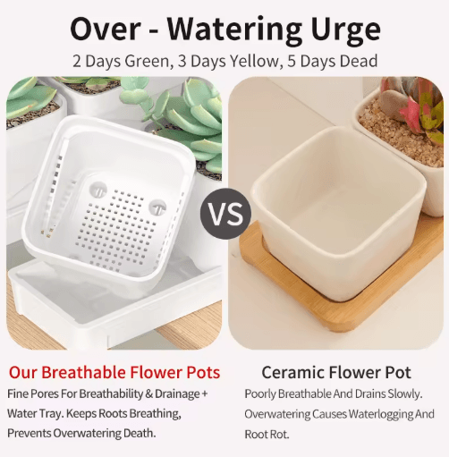 Square Ventilated Plastic Flower Pot Succulent Planter with Thick Drainage Tray