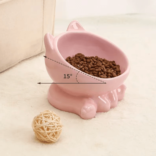 Elevated Tilted Ceramic Cat Bowl – Cute Ergonomic Food & Water Dish