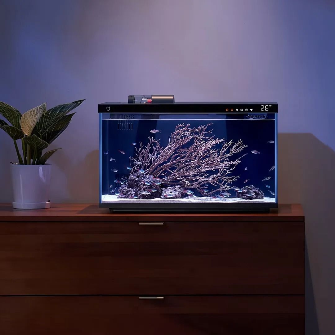 Smart Fish Tank with Remote Control Feeding and Lighting System