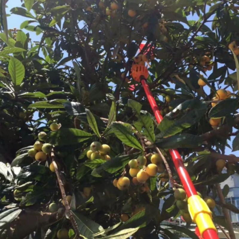 Farm Garden Picking Device – Convenient Deep-Basket Fruit Catcher