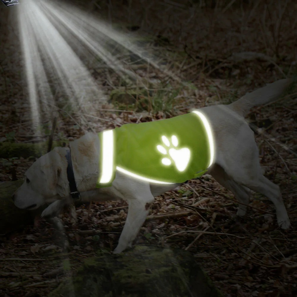 Reflective Hi-Vis Dog Vest – Safe & Comfortable Pet Jacket for Night Walks