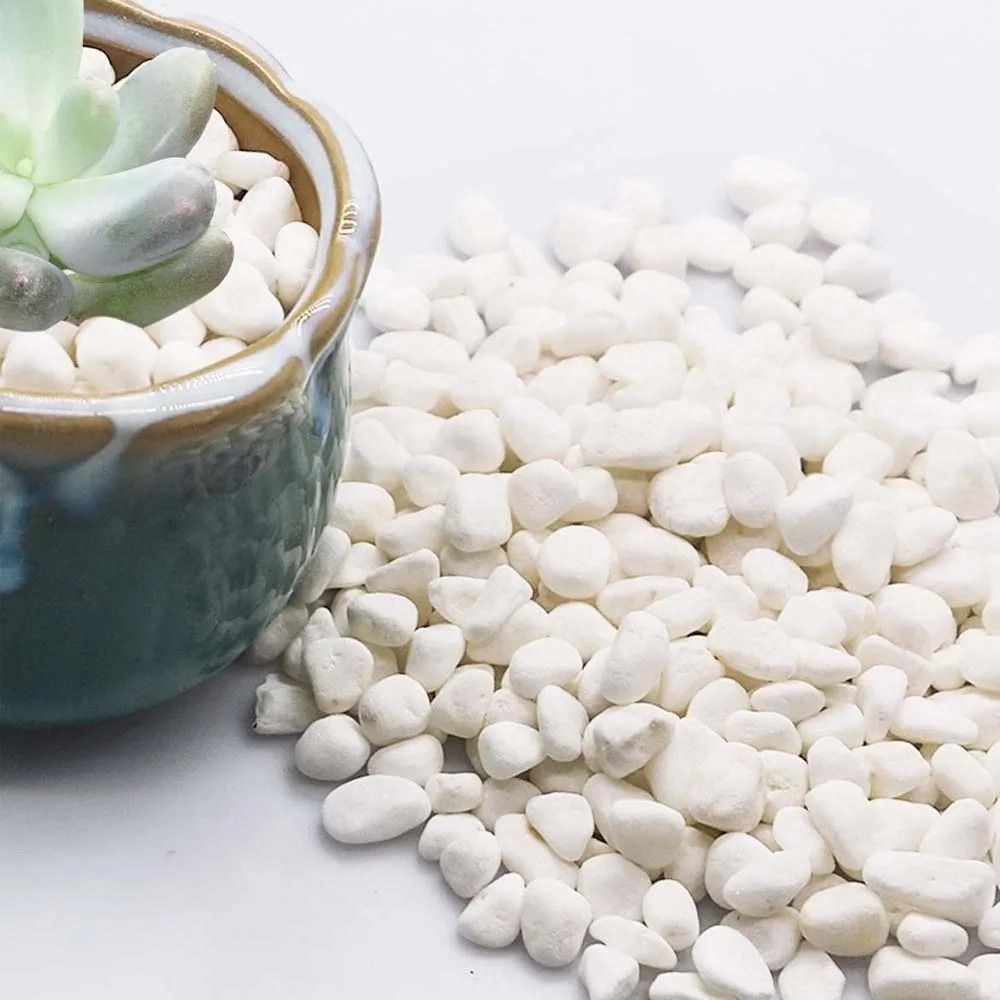 Natural Decorative Pebble Stones for Succulents, Aquariums & Home Decor (100g–17.64oz Options)