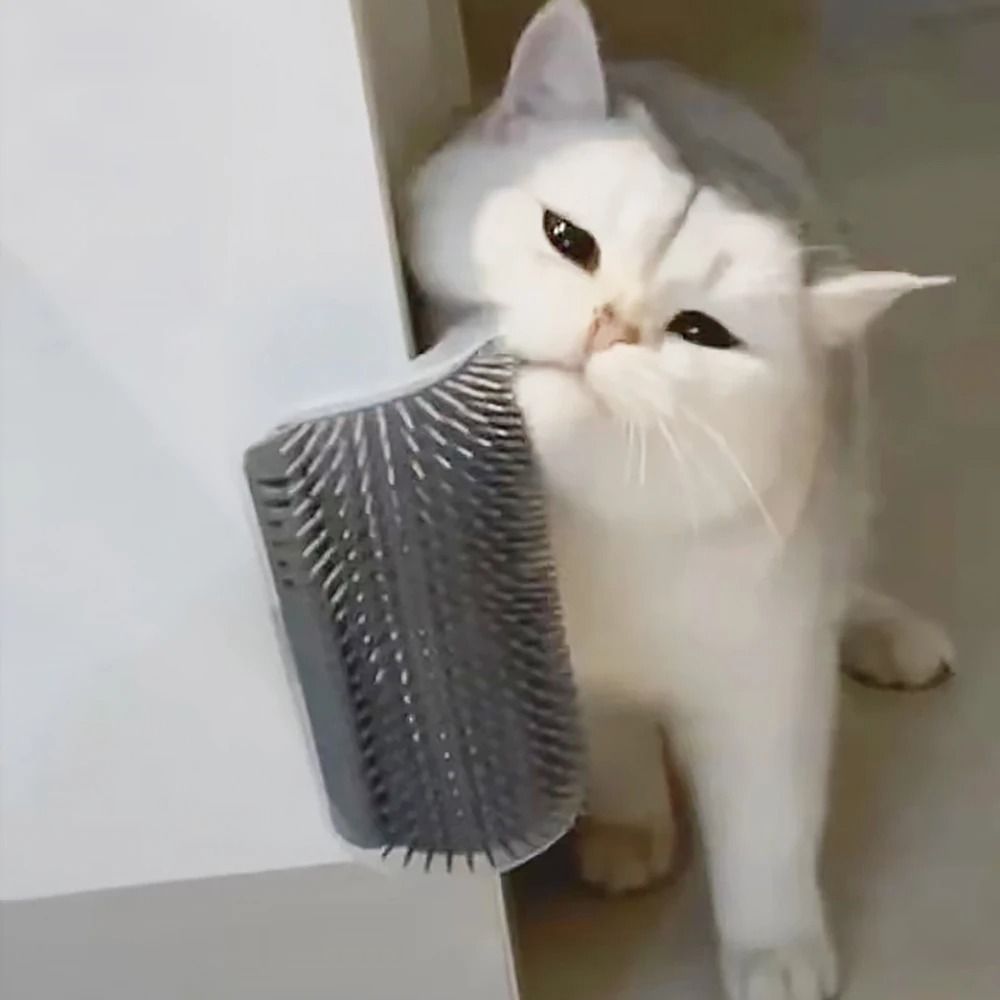 Massager for Cats PP Material Pet Brush for Grooming and Hair Removal
