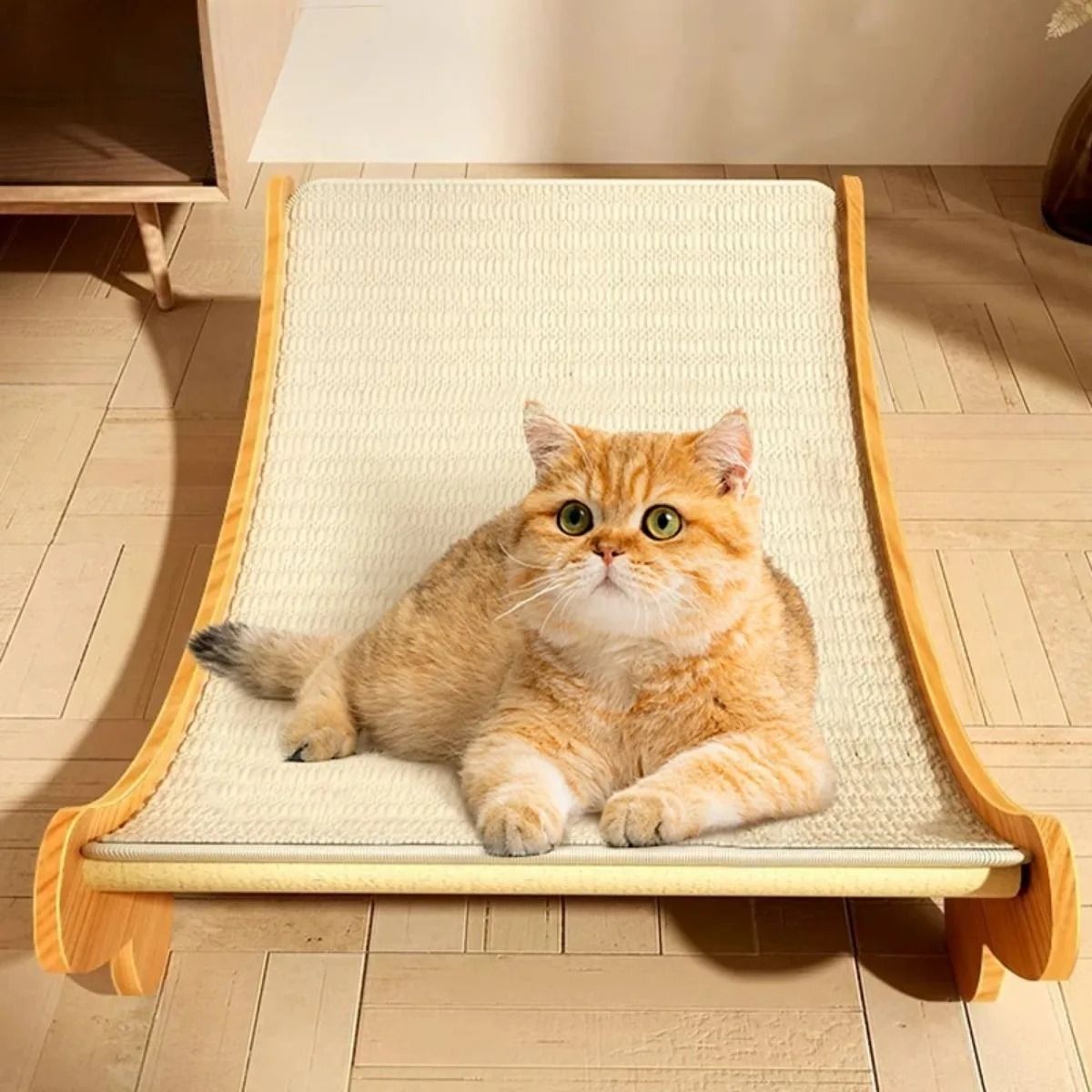 Wooden Cat Scratching Bed Kit with Detachable Scratch Board Multifunction Toy