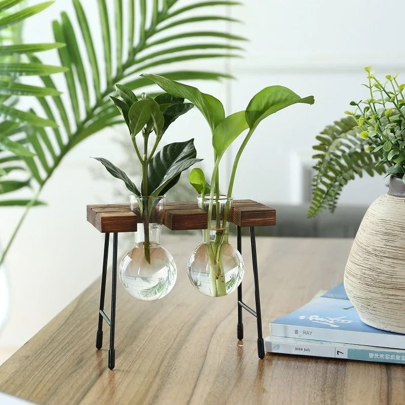 Hydroponic Plant Vase with Wooden Stand