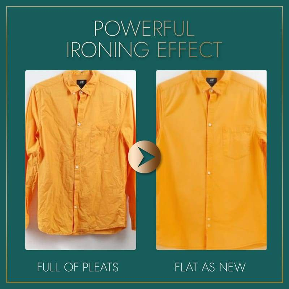 Professional Dry & Wet Steam Iron