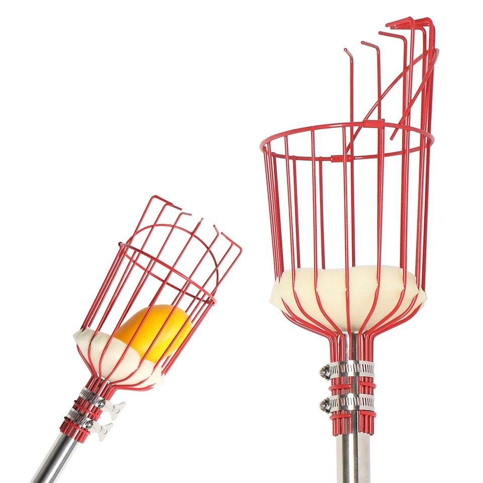 Adjustable Fruit Picker Tool with Basket Lightweight Stainless Steel Pole for Effortless Fruit Harvesting