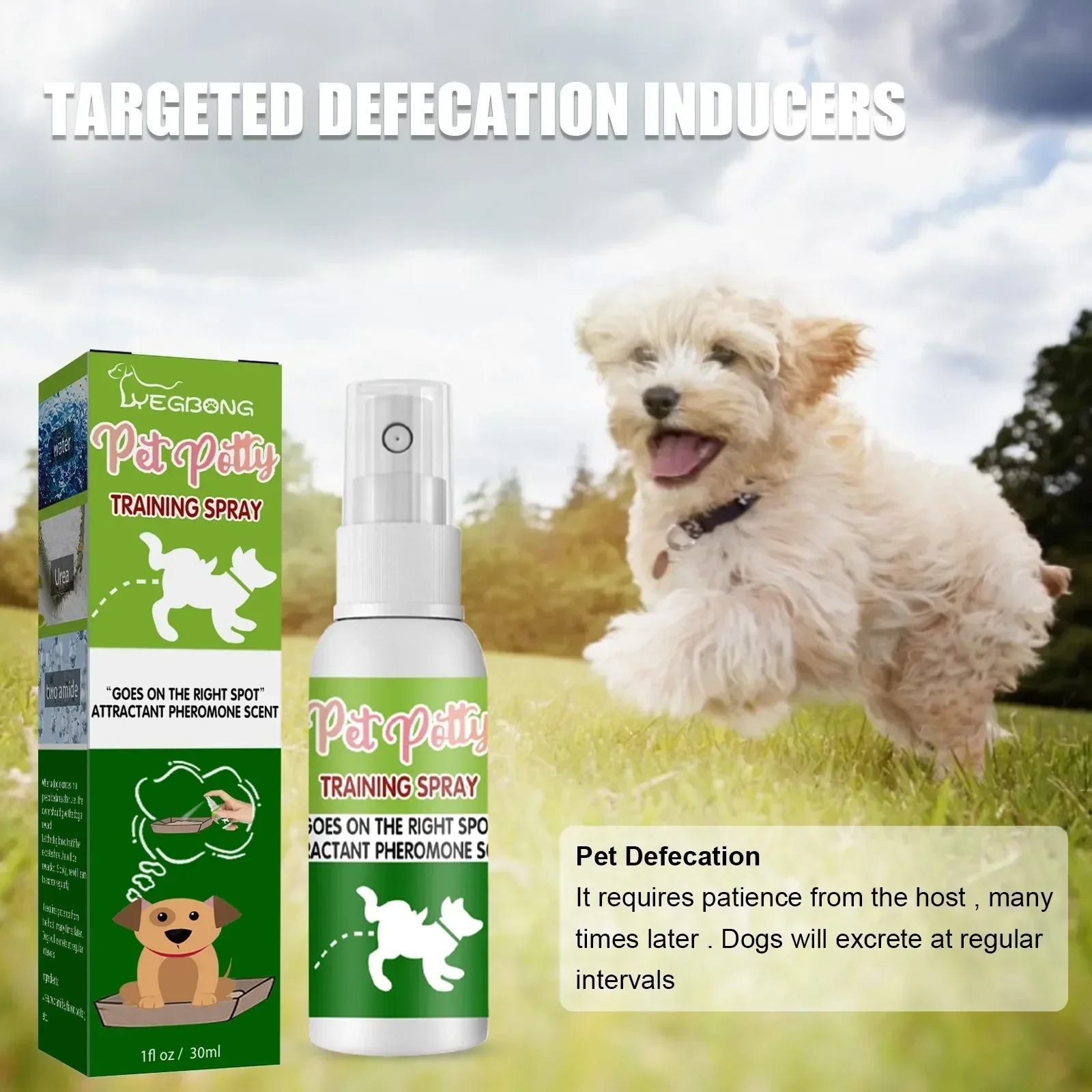 Ultimate Pet Toilet Training Spray – Indoor Potty Trainer for Dogs & Cats
