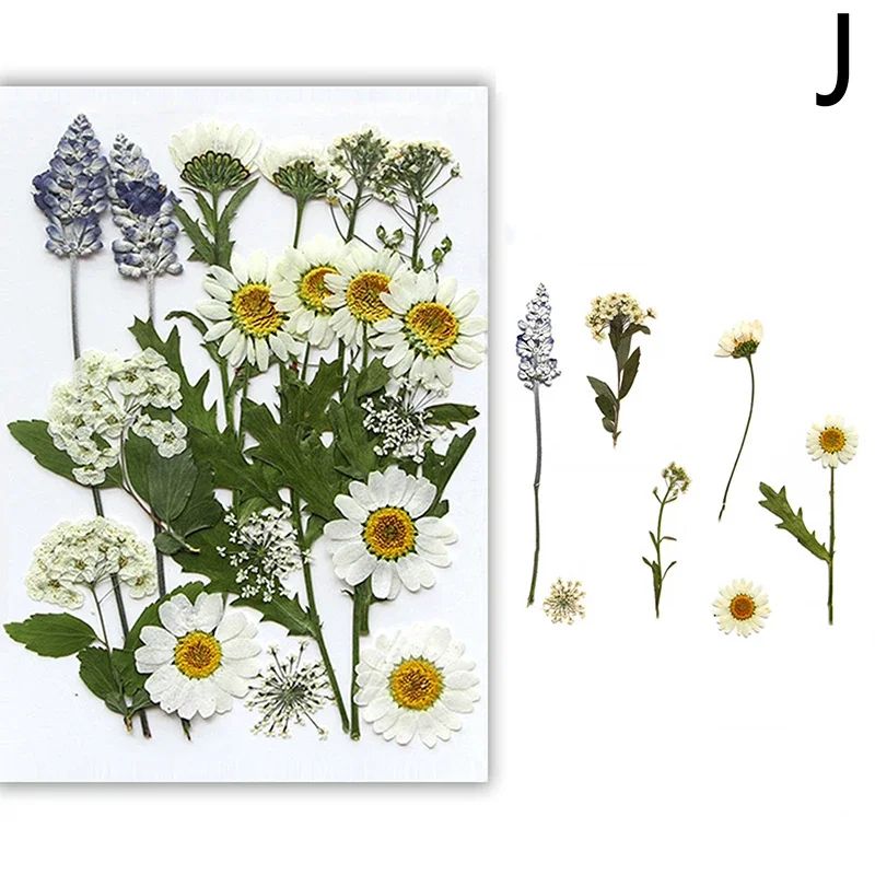 Natural Dried Flower Resin Fillers