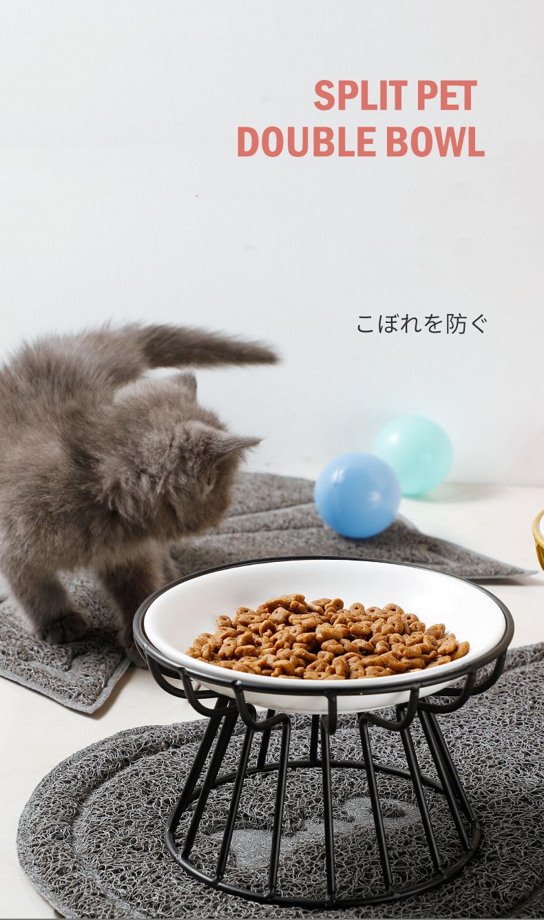 Elevated Ceramic Pet Food Bowl with Stand