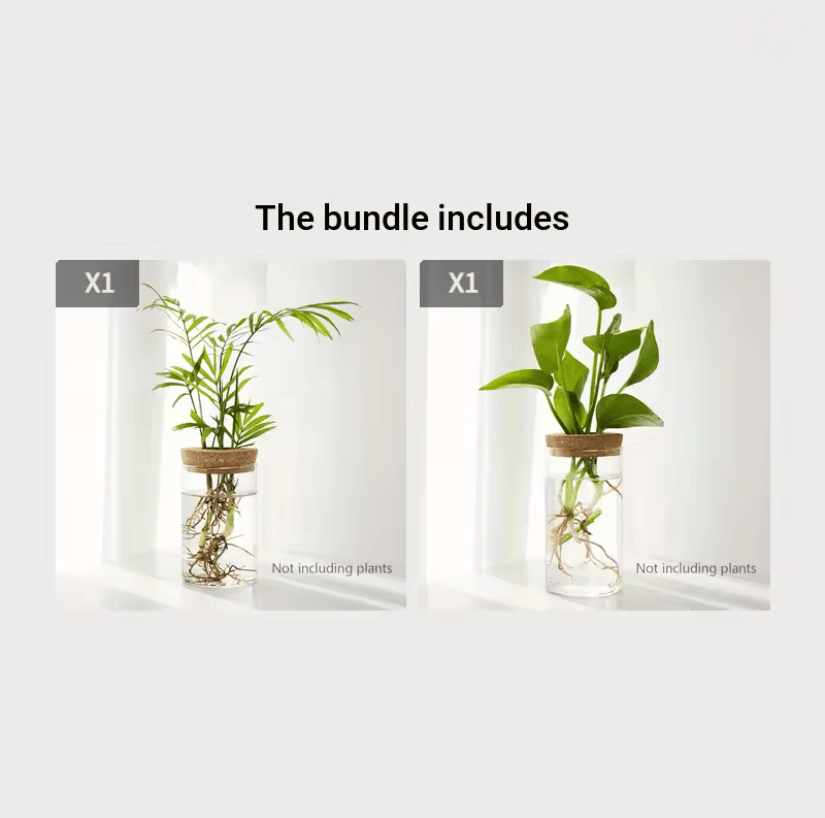 AquaBloom Desktop Glass Hydroponic Planter Vase