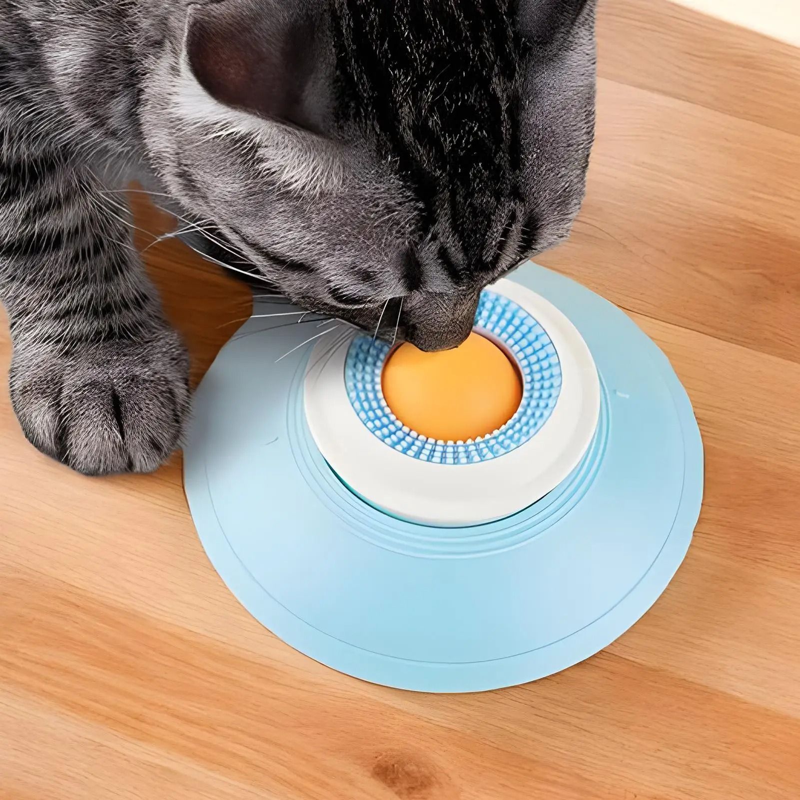 Dog Licking and Feeding Mat