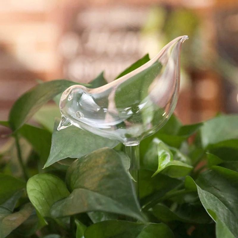 Bird Shape Self Watering Plant Globe
