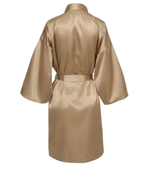 Elegant Satin Night Robe for Women with V Neck and Belted Waist