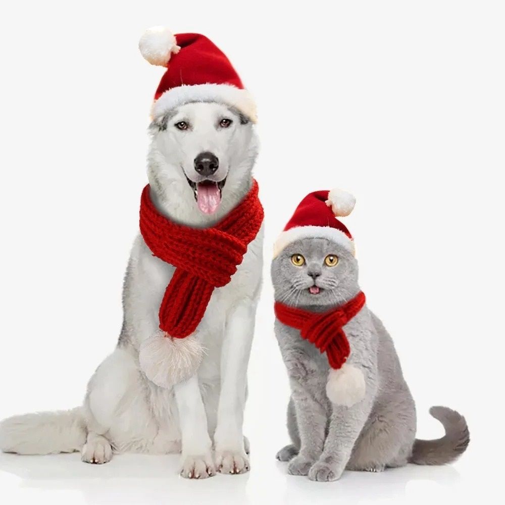 Cozy Knitted Christmas Scarf for Pets with Pompom Decoration