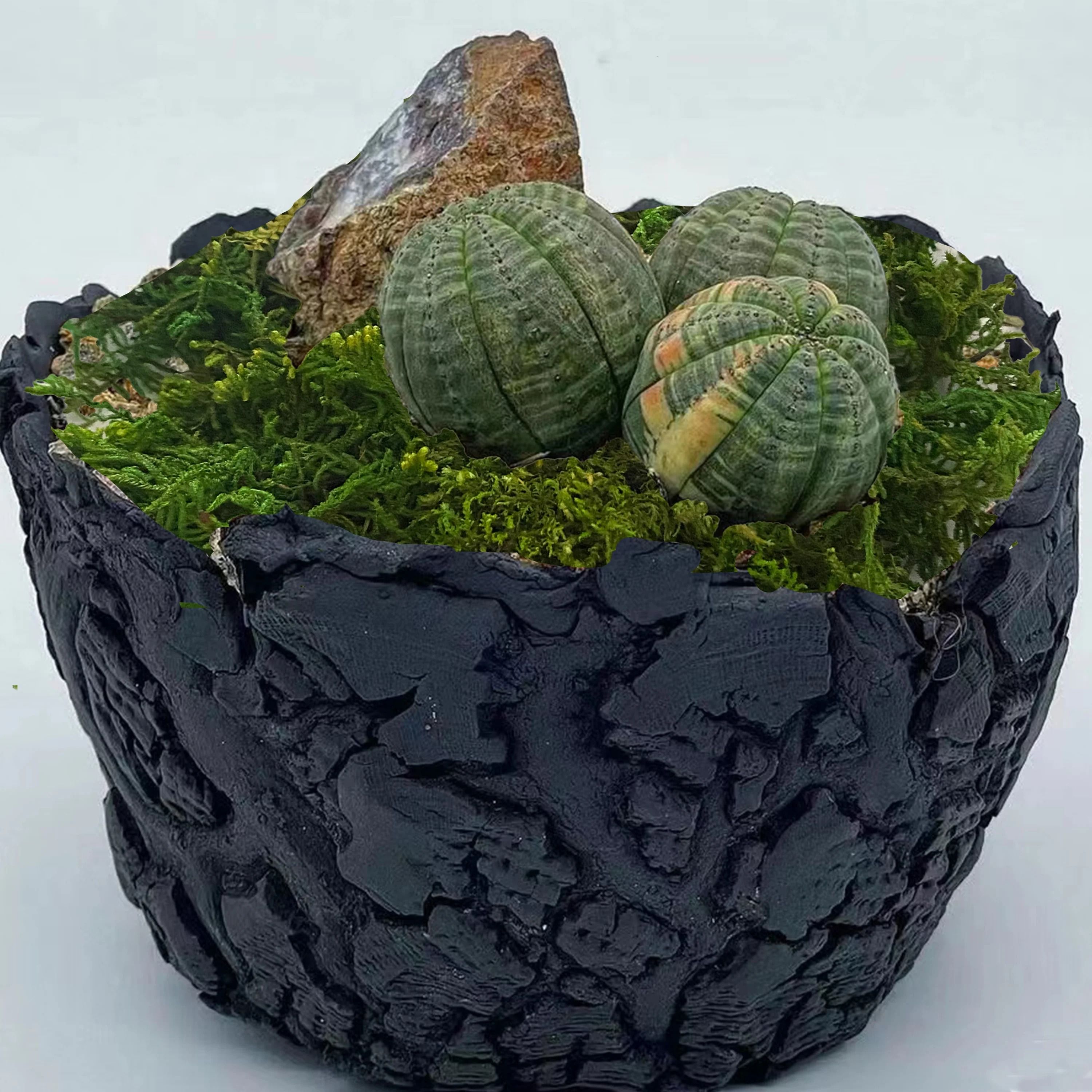 Botanical Architectural Simulated Evergreen Forest Moss