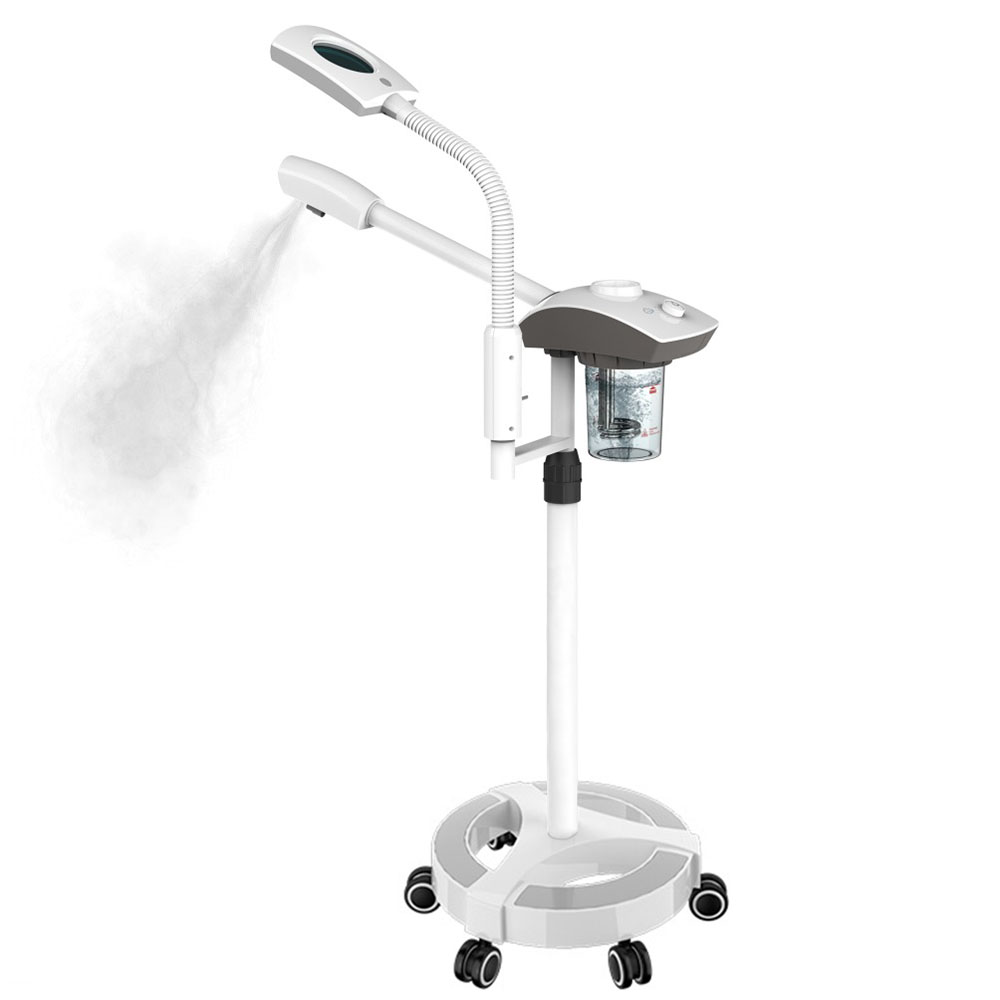 Nano Mister for Skin Care, Warm Mist Humidifier Facial Cleaner Vaporizer