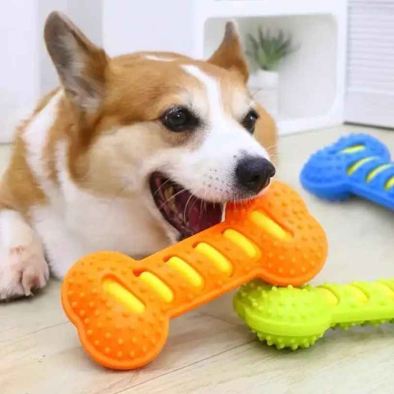 Rubber Bone Squeaky Dog Chew Toy