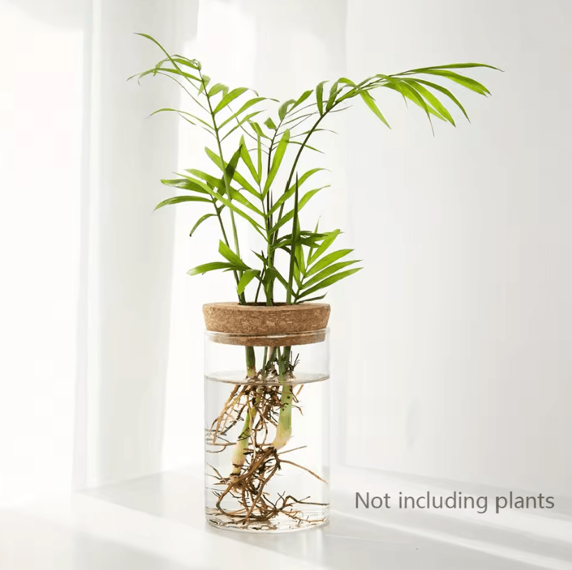 AquaBloom Desktop Glass Hydroponic Planter Vase