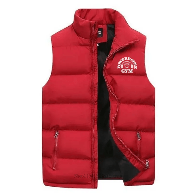 Modern Mens Sleeveless Puffer Vest Mandarin Collar Casual Jacket