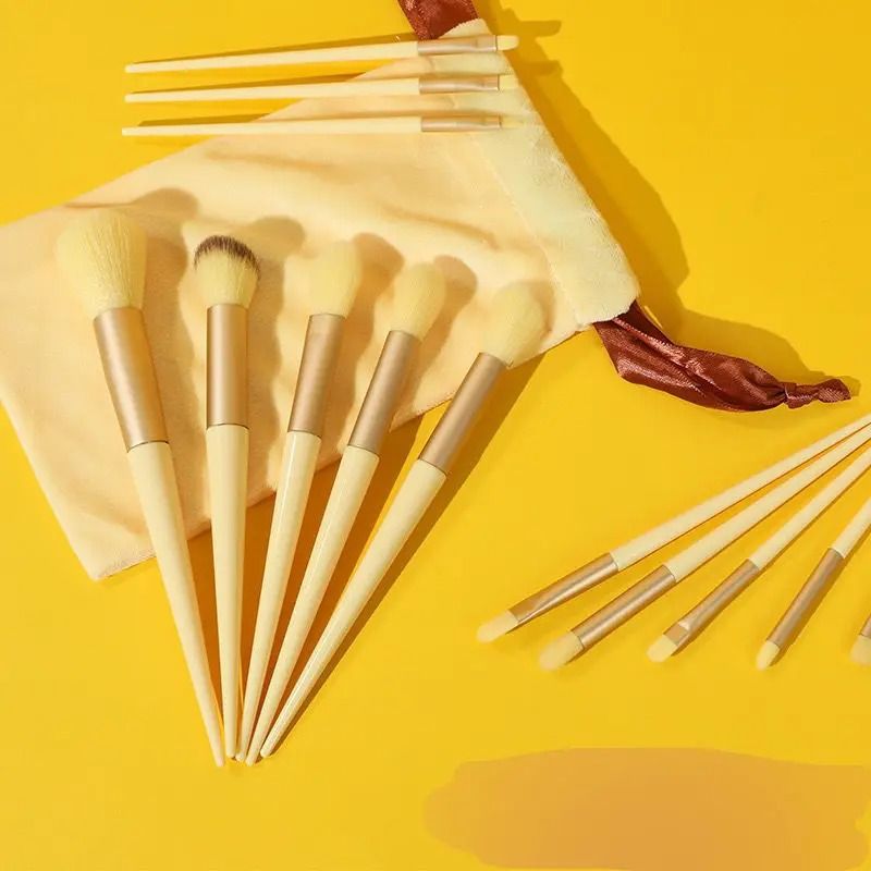 Professional 13 Piece Cosmetic Application System