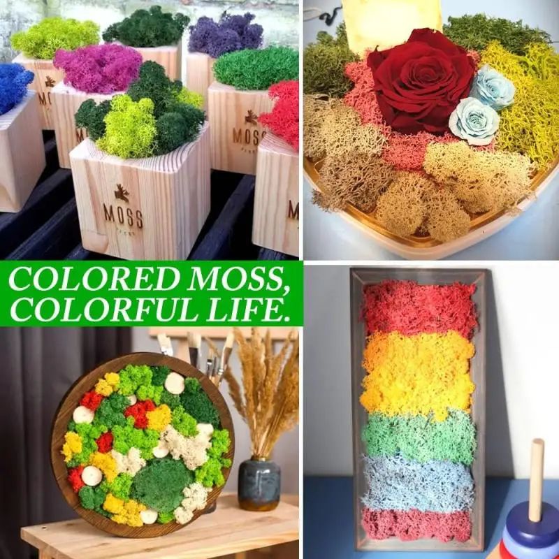 Artificial Moss Grass for DIY Crafts and Mini Landscape Decor
