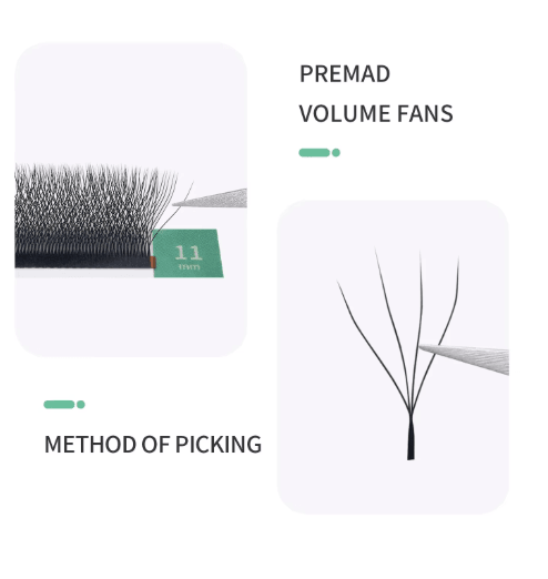 GLAMLASH 4D–5D W-Shaped Premade Volume Lash Extensions – Soft Faux Mink