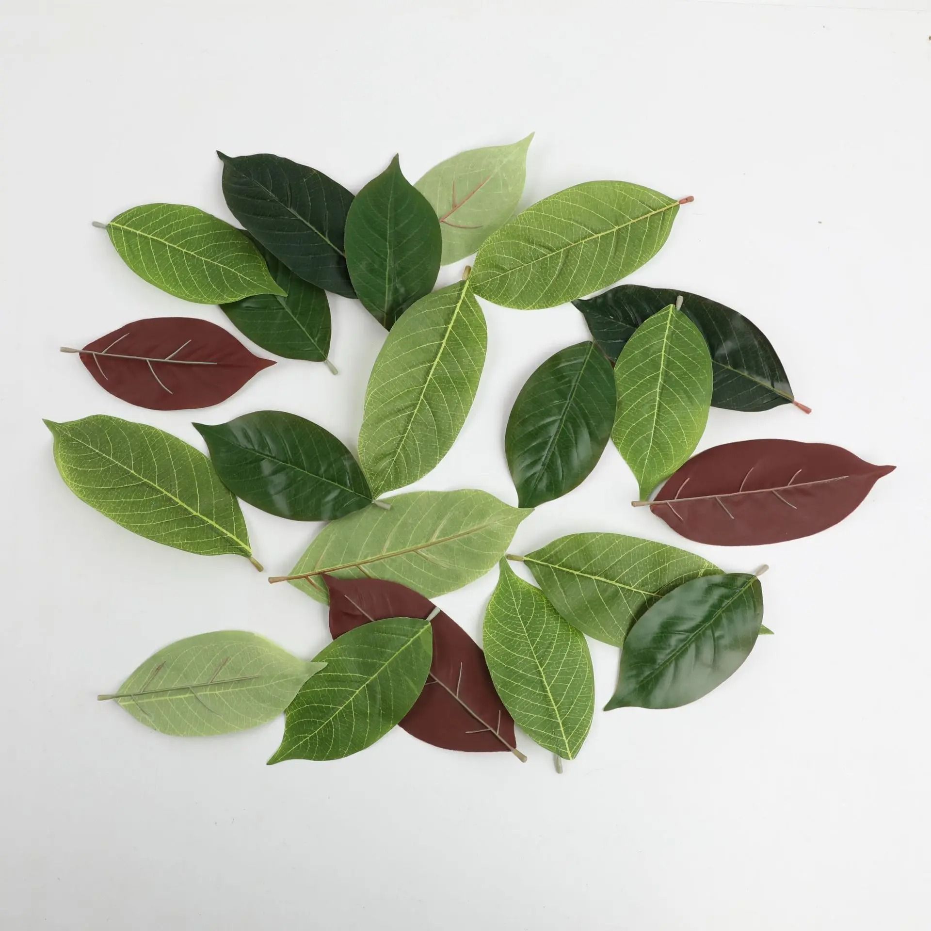 Botanical Narrative Sculpture – High-Definition Magnolia Leaf Architectural Set