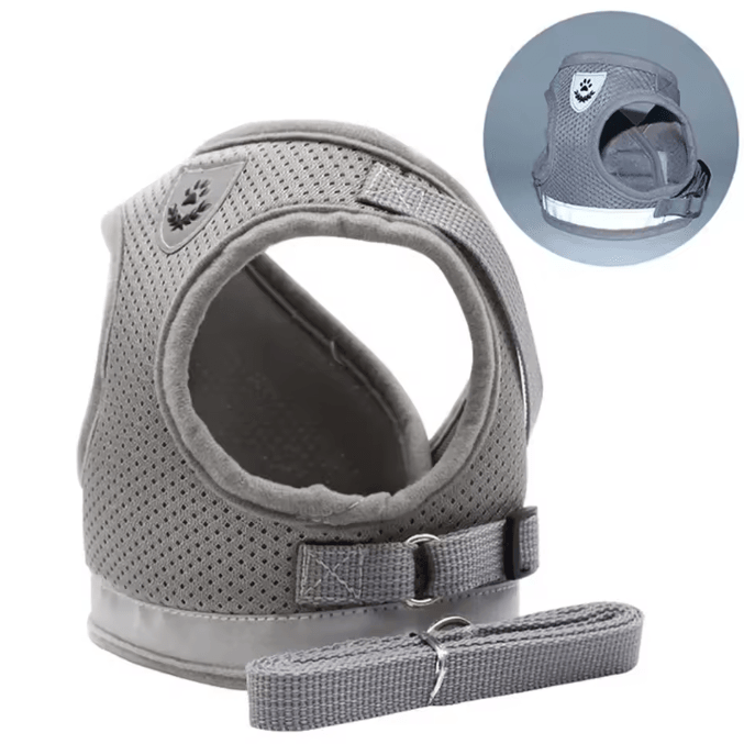 SafePaw Reflective Escape-Proof Cat Harness & Leash Set
