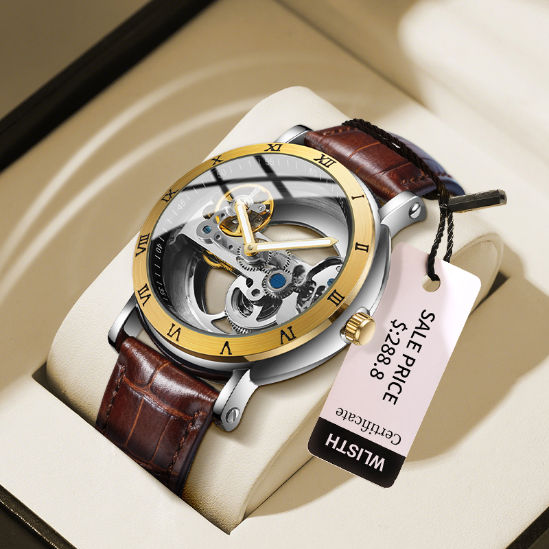 Automatic Mechanical Mens Watch, Mechanical Wristwatches Watches for Man, Watches Golden Bridge Skeleton