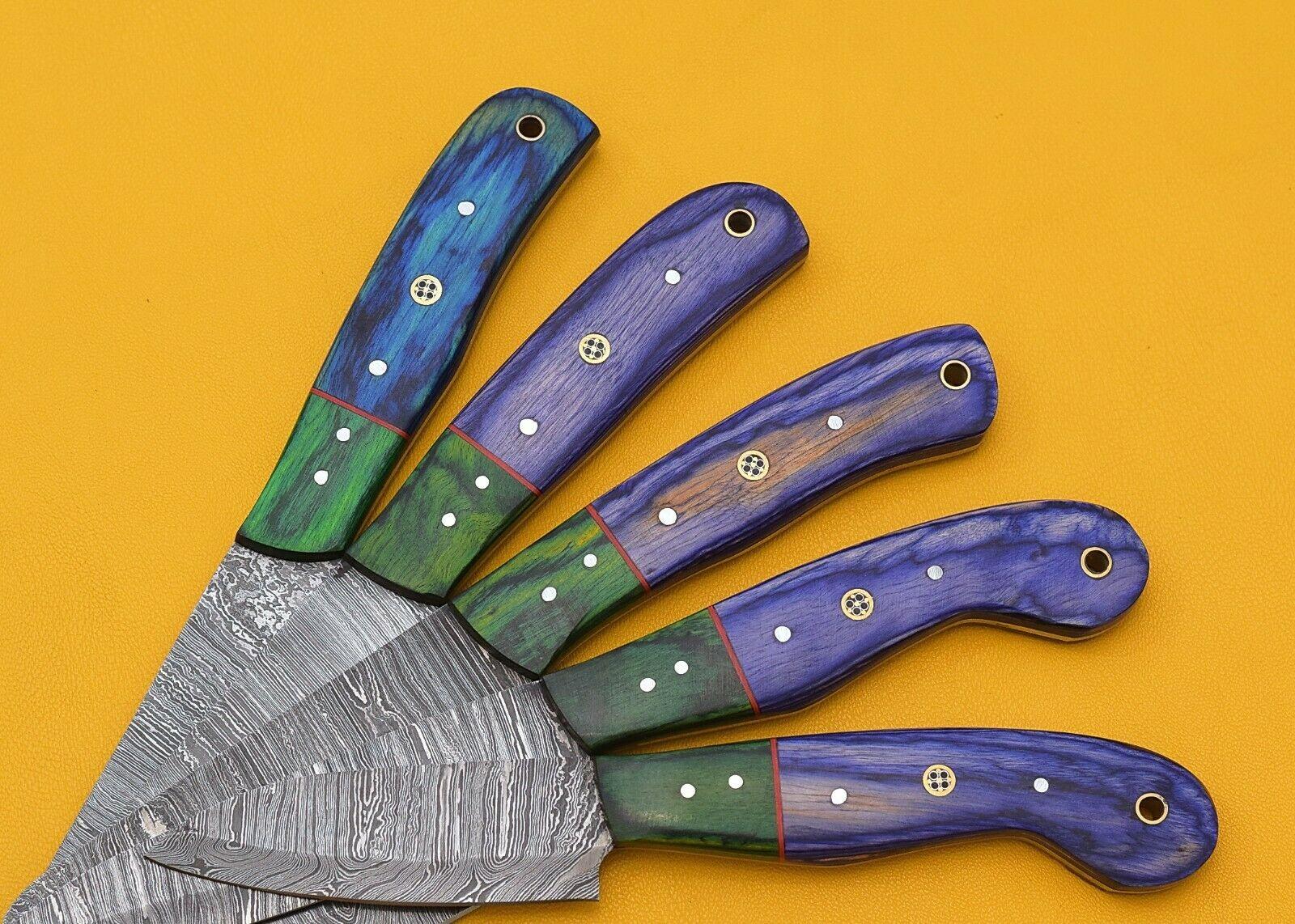 Custom Handmade Damascus Chef Knives Set of 5 with Leather Sheath