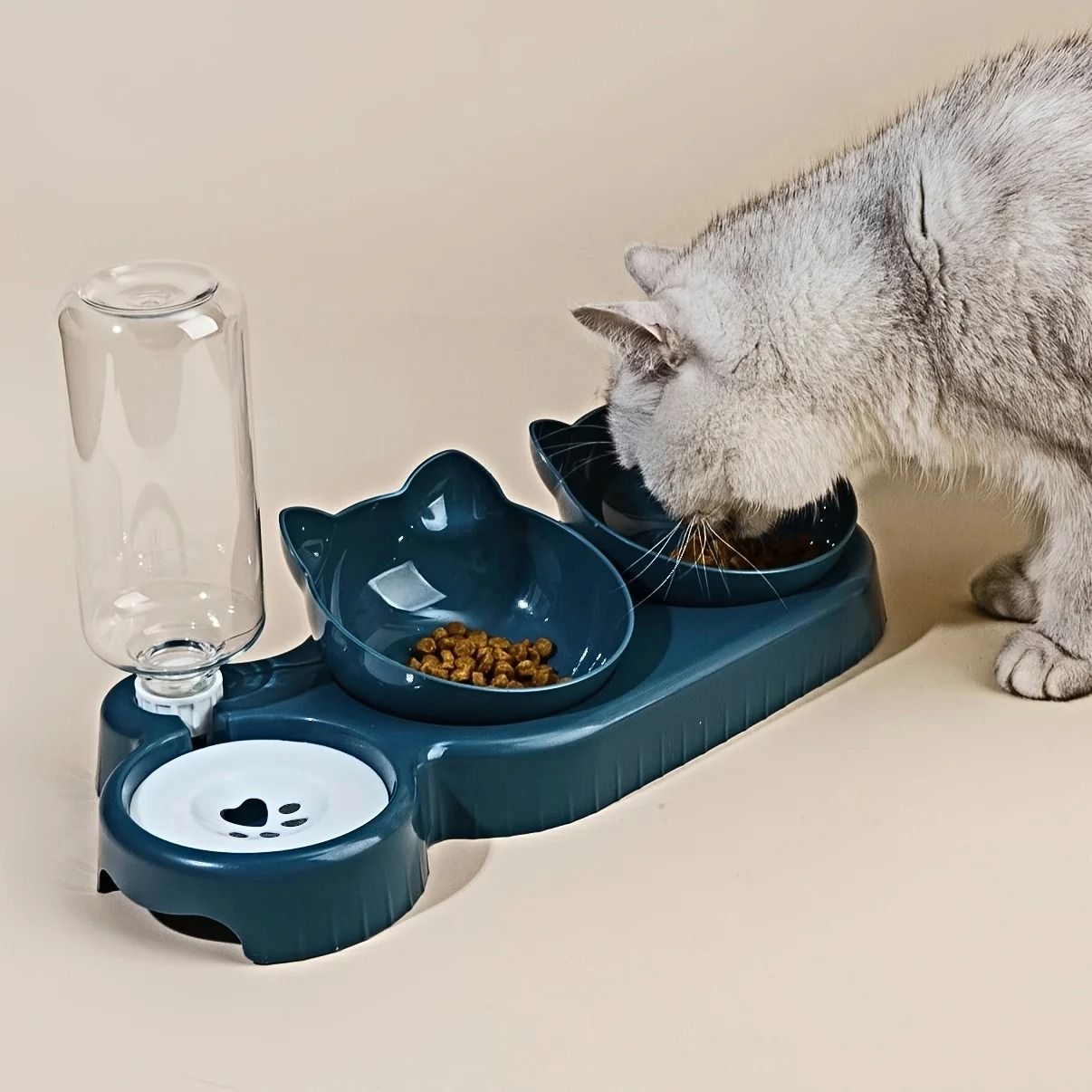 3 in 1 Pet Bowl with Water Feeder Tilted Design for Cat and Dog
