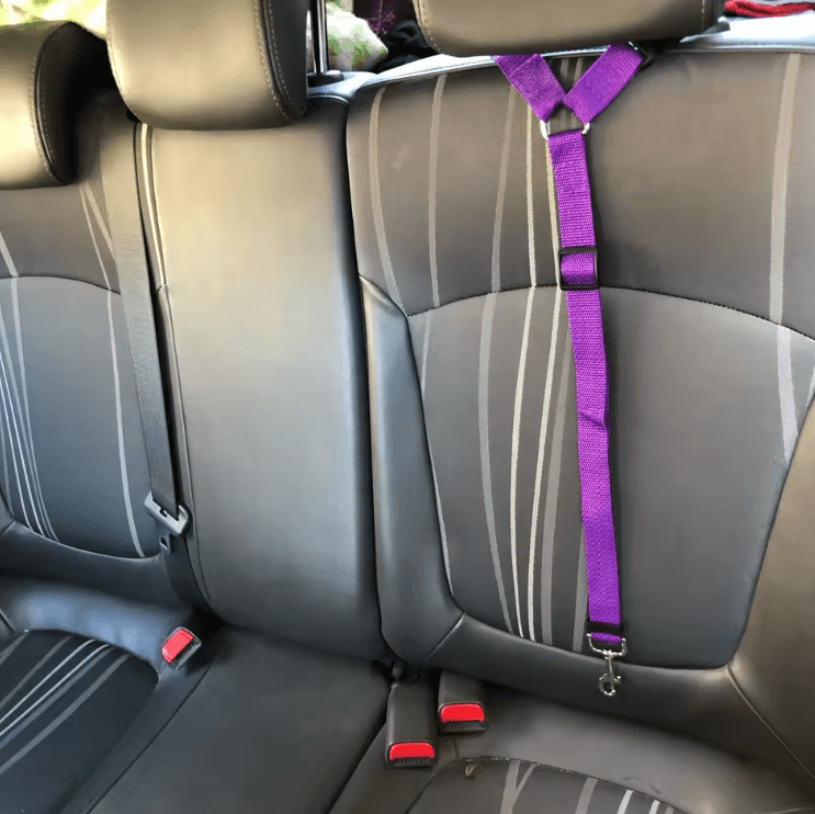 Adjustable 2-in-1 Pet Car Seat Belt & Leash – Nylon Safety Harness Strap for Dogs & Cats