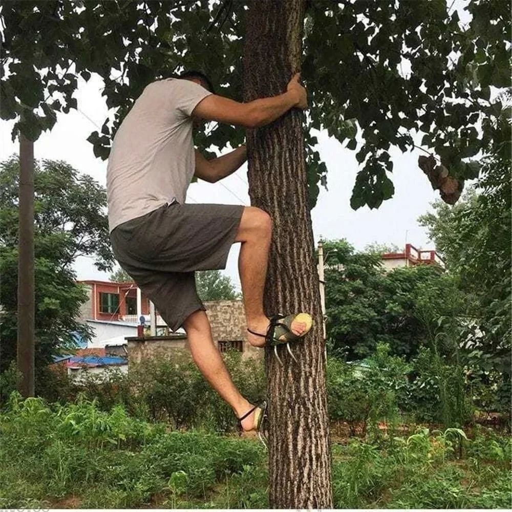 Outdoor Steel Tree Climbing Spikes