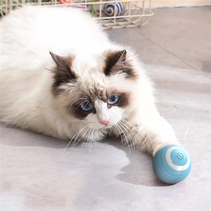 Interactive Cat Toy Ball Self moving Electronic Rolling Ball for Kitten Training