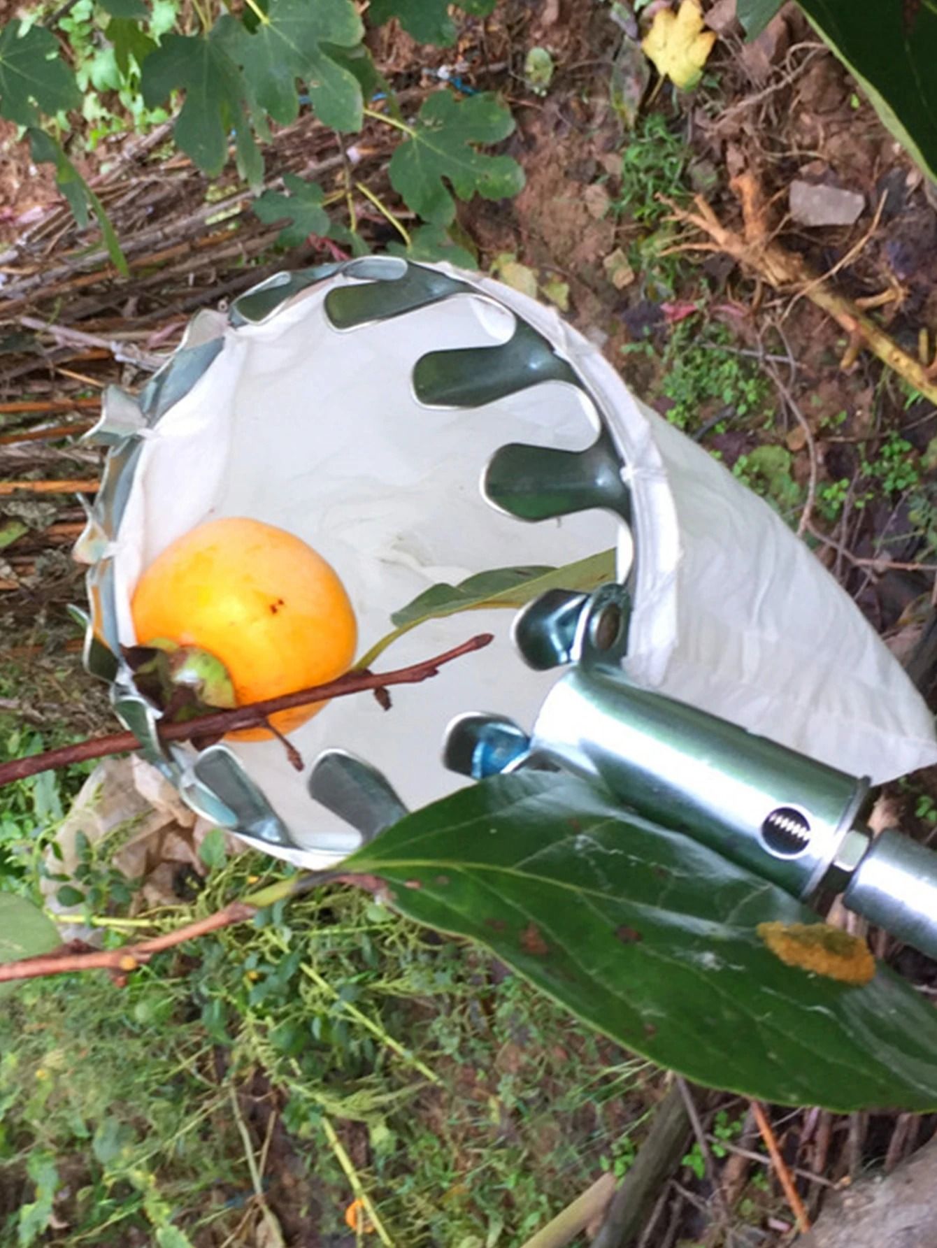 High-Altitude Telescopic Fruit Picker – Professional Garden Harvester