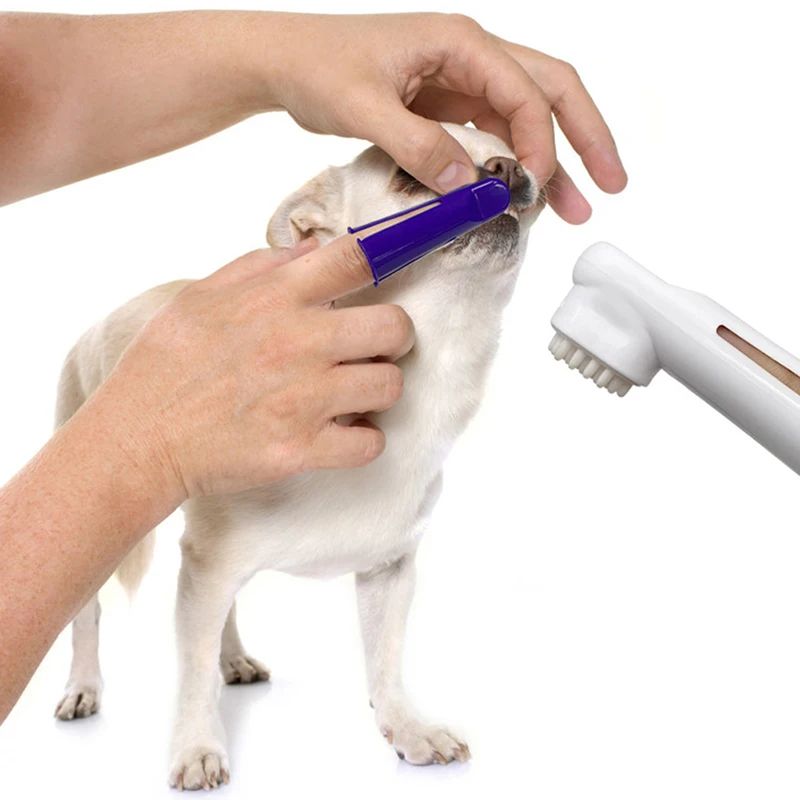 Dog Dental Care Kit Toothpaste Toothbrush And Finger Brush Set