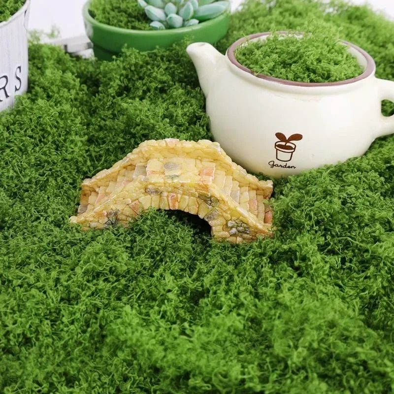 Everlasting Preserved Green Moss | Eternal Artificial Grass for Mini Landscapes & DIY Crafts
