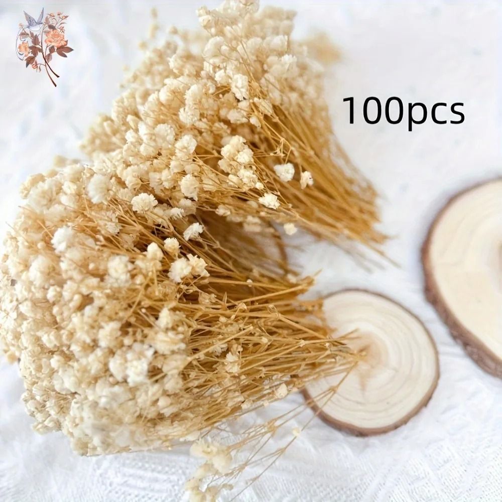 Mini Dried Baby Breath Flowers Gypsophila for Resin Crafts and Decor