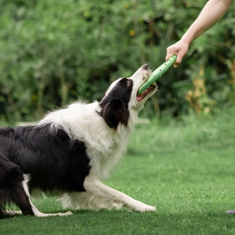 Dog Flying Disc Training Ring Bite Resistant Interactive Fetch Toy for Small and Medium Dogs