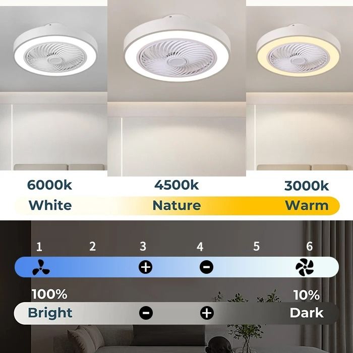 Integrated Modern Ceiling Fan Light