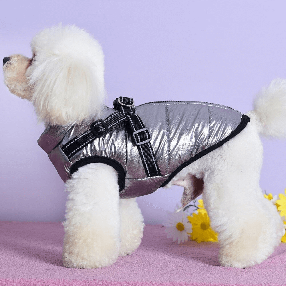 Dog Winter Coat With Built In Harness