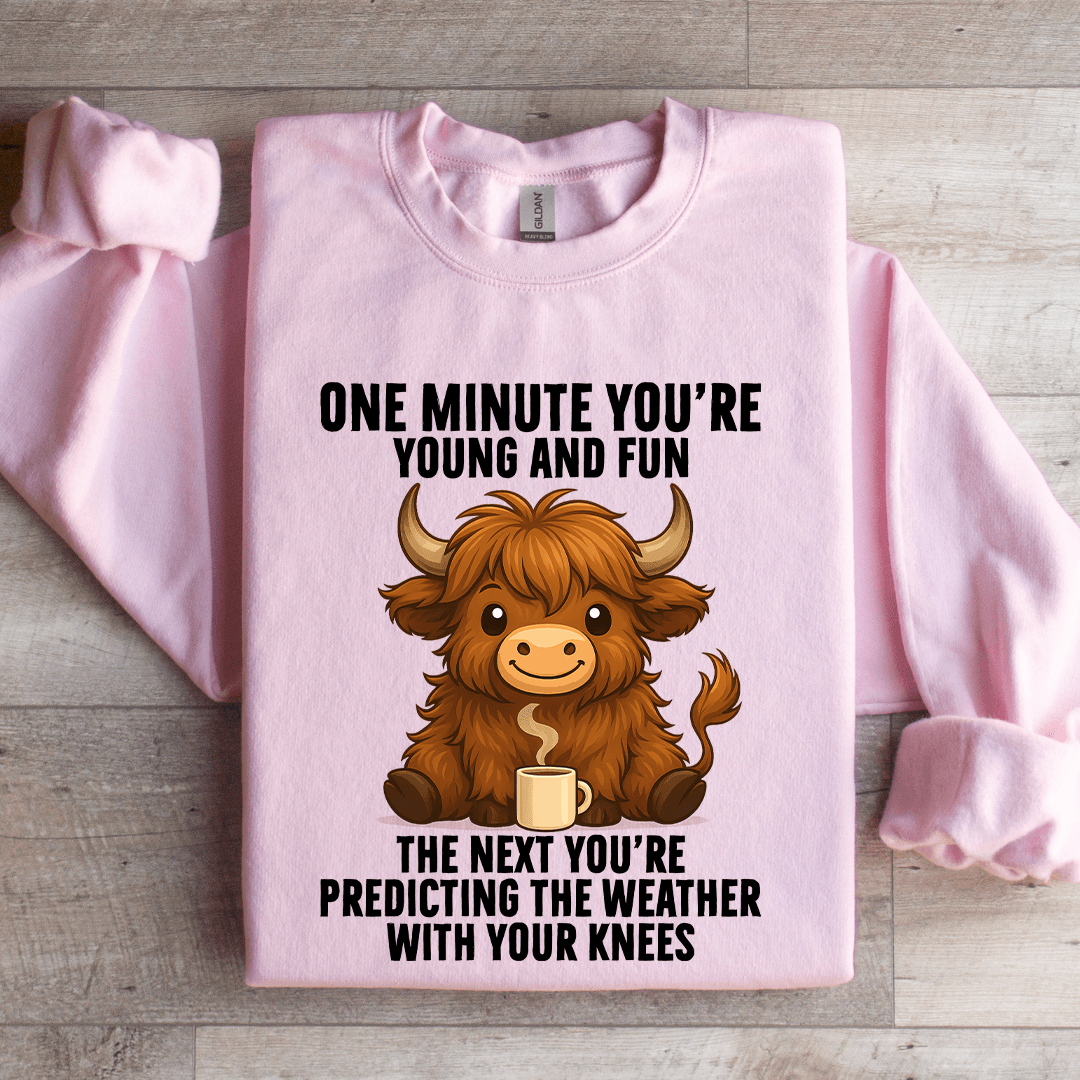 One Minute You're Young And Fun Sweatshirt