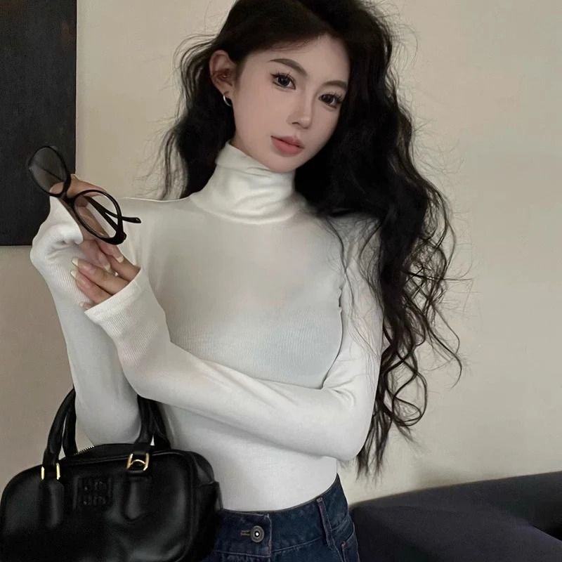 Classic Womens Turtleneck Sweater Warm Thermal Long Sleeve Knit Pullover
